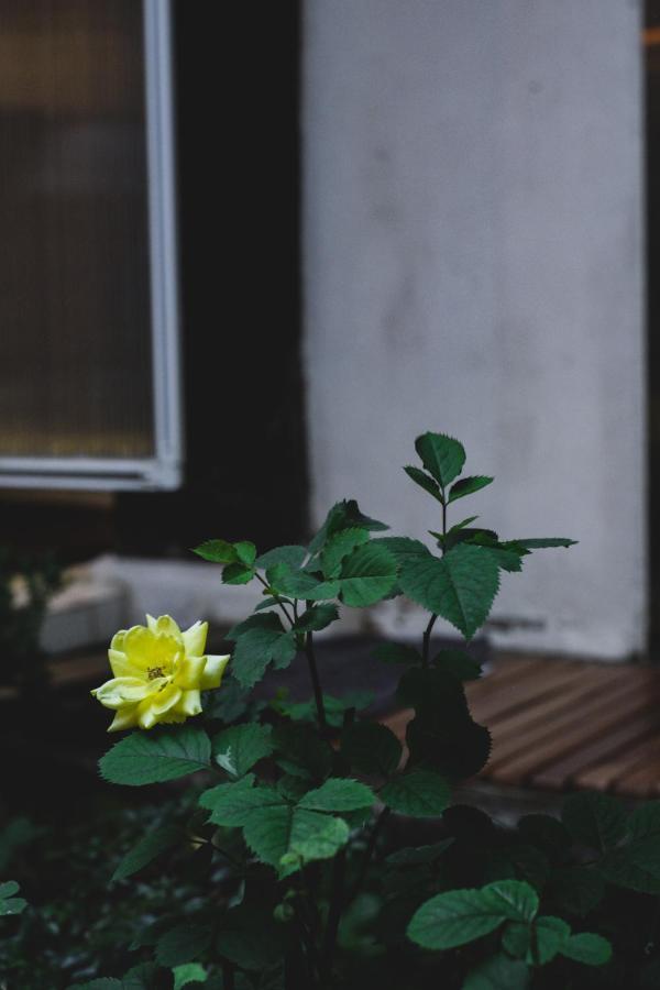 סיאול Viva La Vida - Jongno Hanok Private House מראה חיצוני תמונה